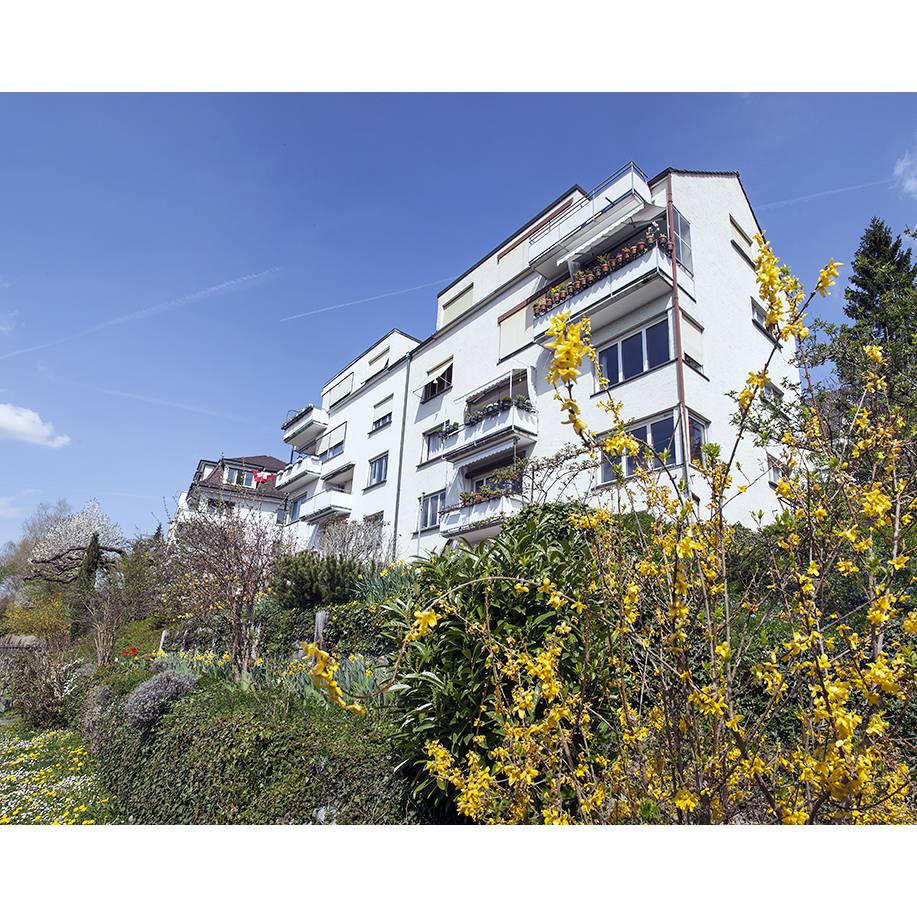 Ackersteinstrasse 79, 8049 Zürich