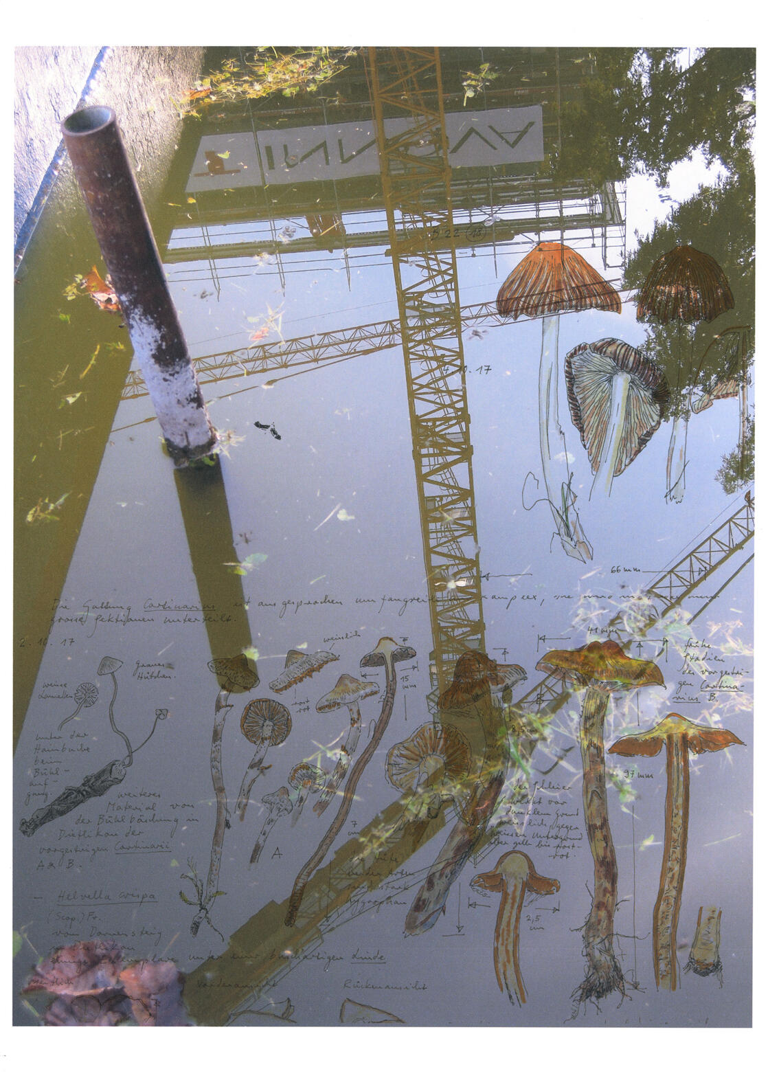 Blatt 1 Brief Jörg Kohler an Lutz&Guggisberg