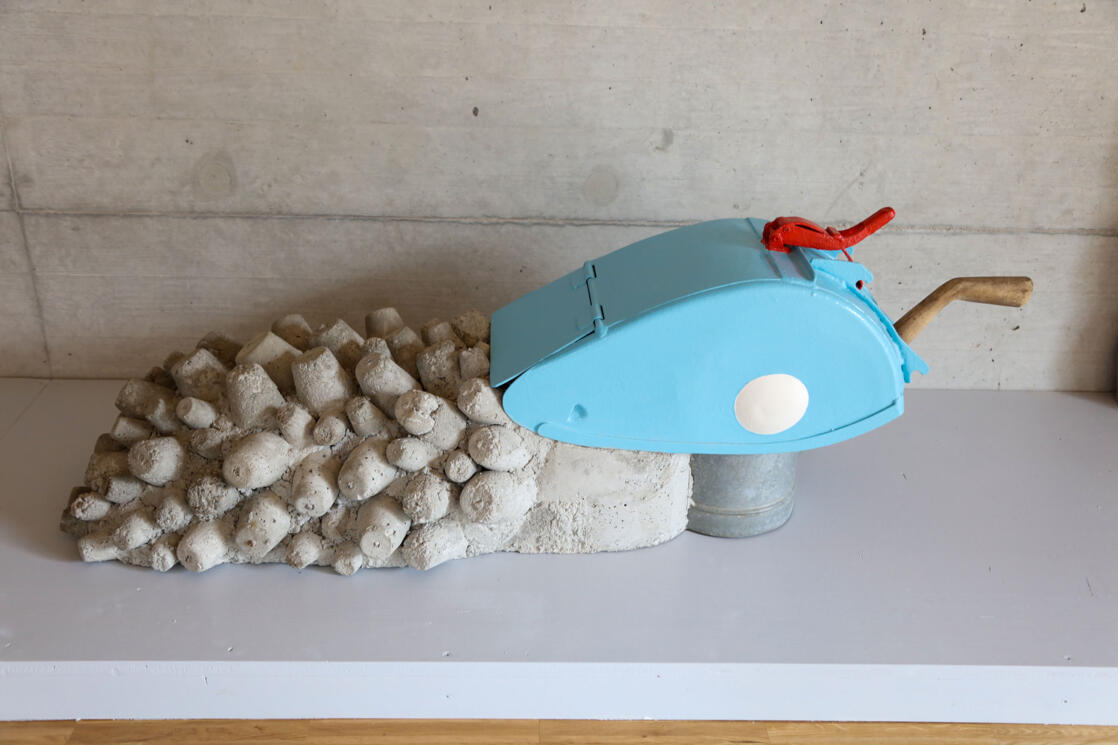 Warzenschneck (Radkappe, Giesskanne, betonierte Noppen)